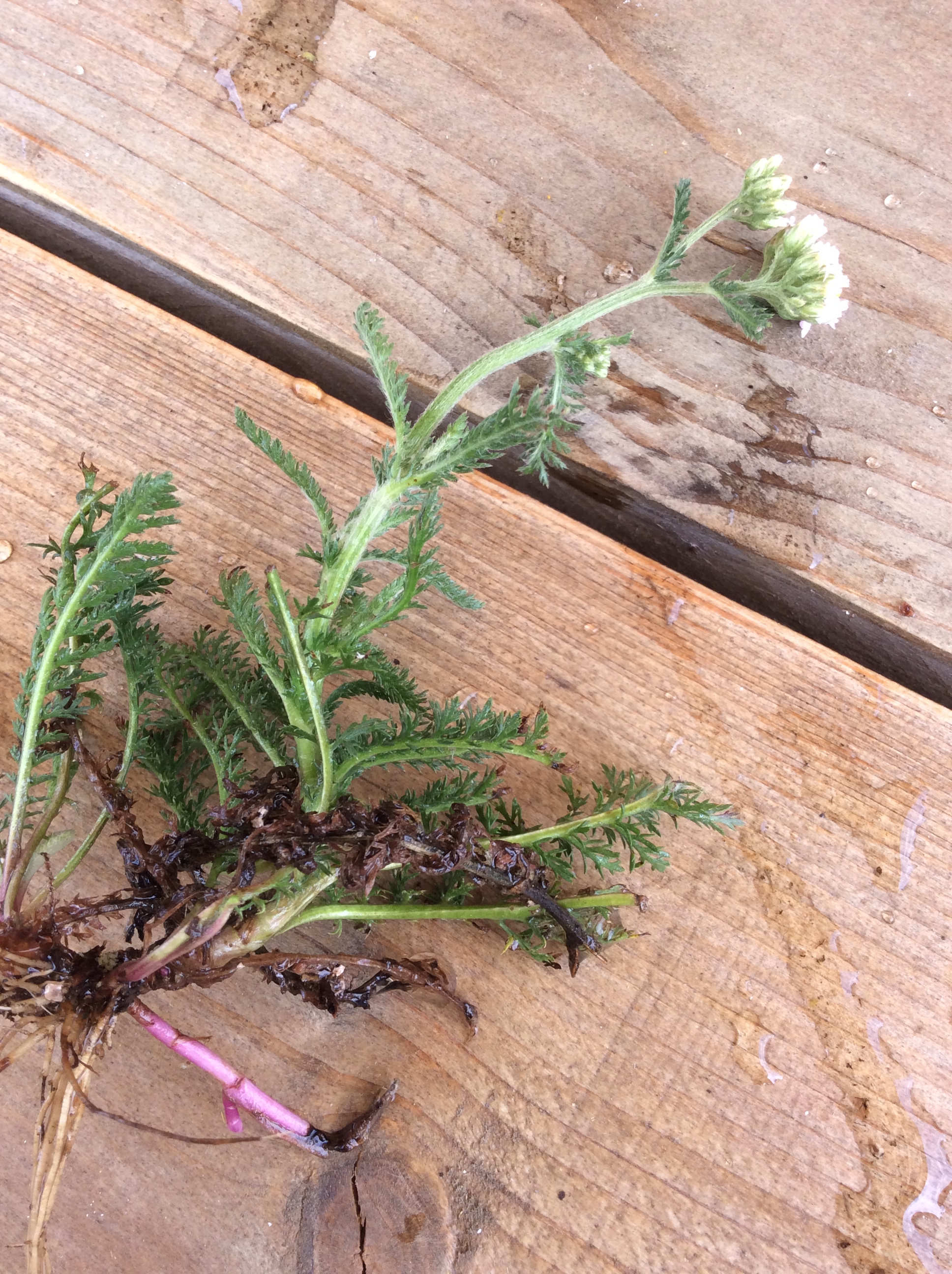 E2F4CD89-38B4-4F4B-8454-148582F99561