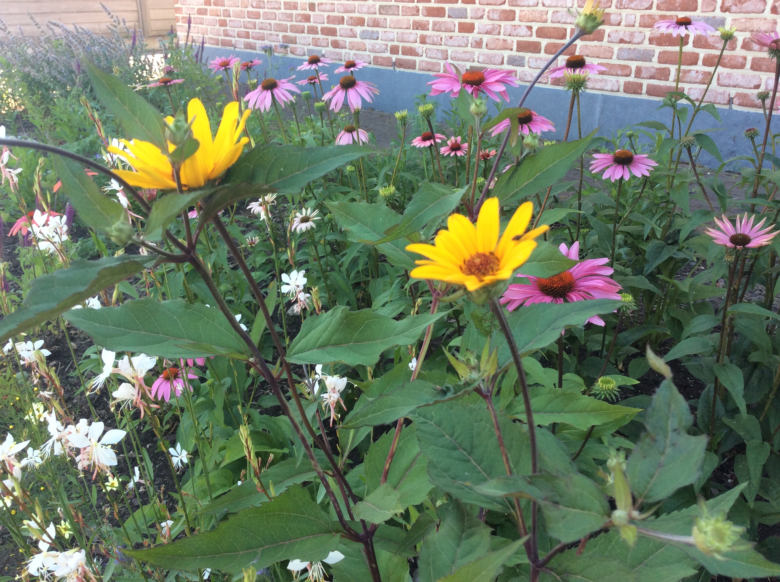 FC608D53-8F79-4371-881D-81F7E5DE237D