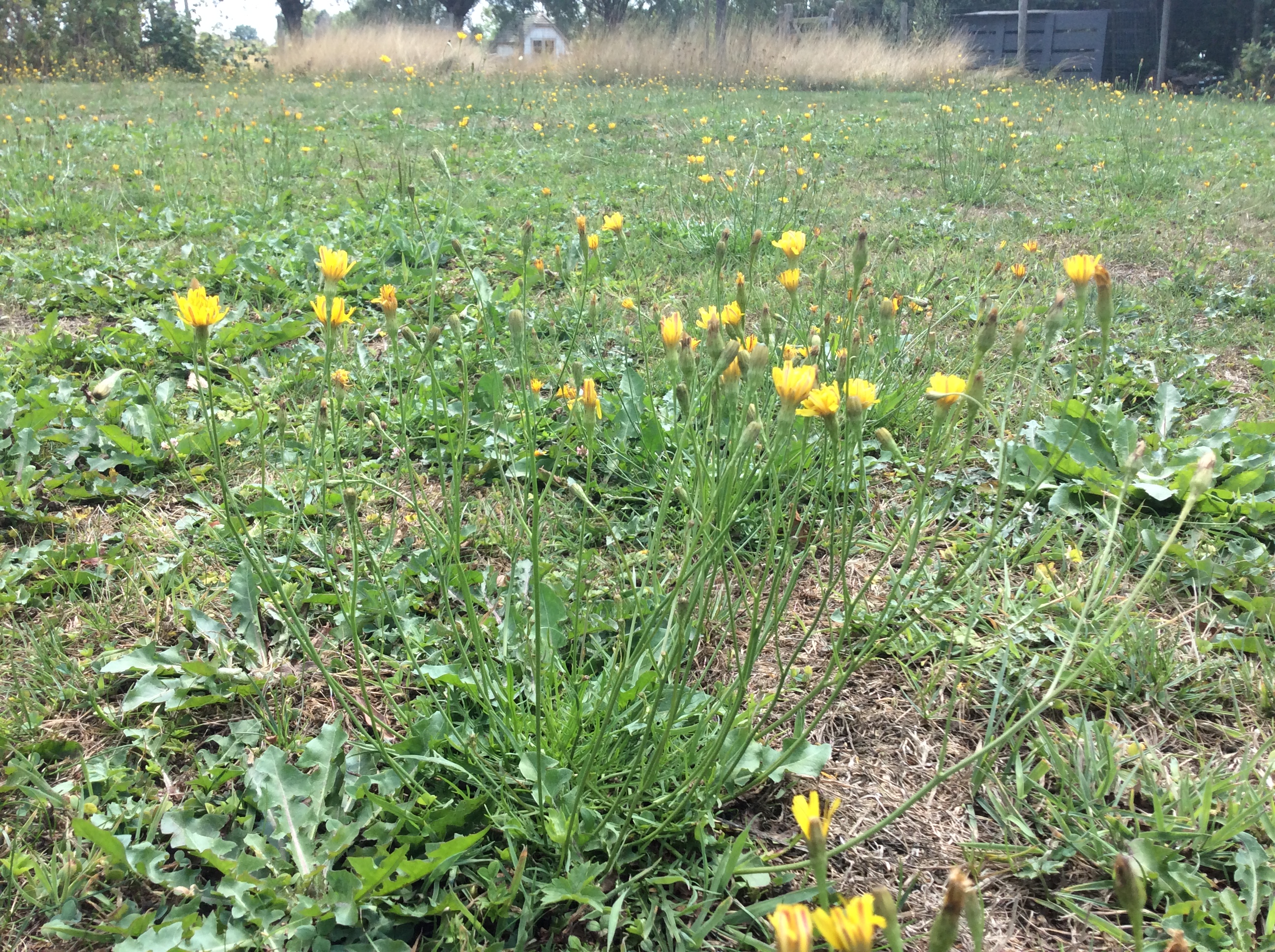 252BBB70-2FCB-42B7-A513-99EF8F9DF106