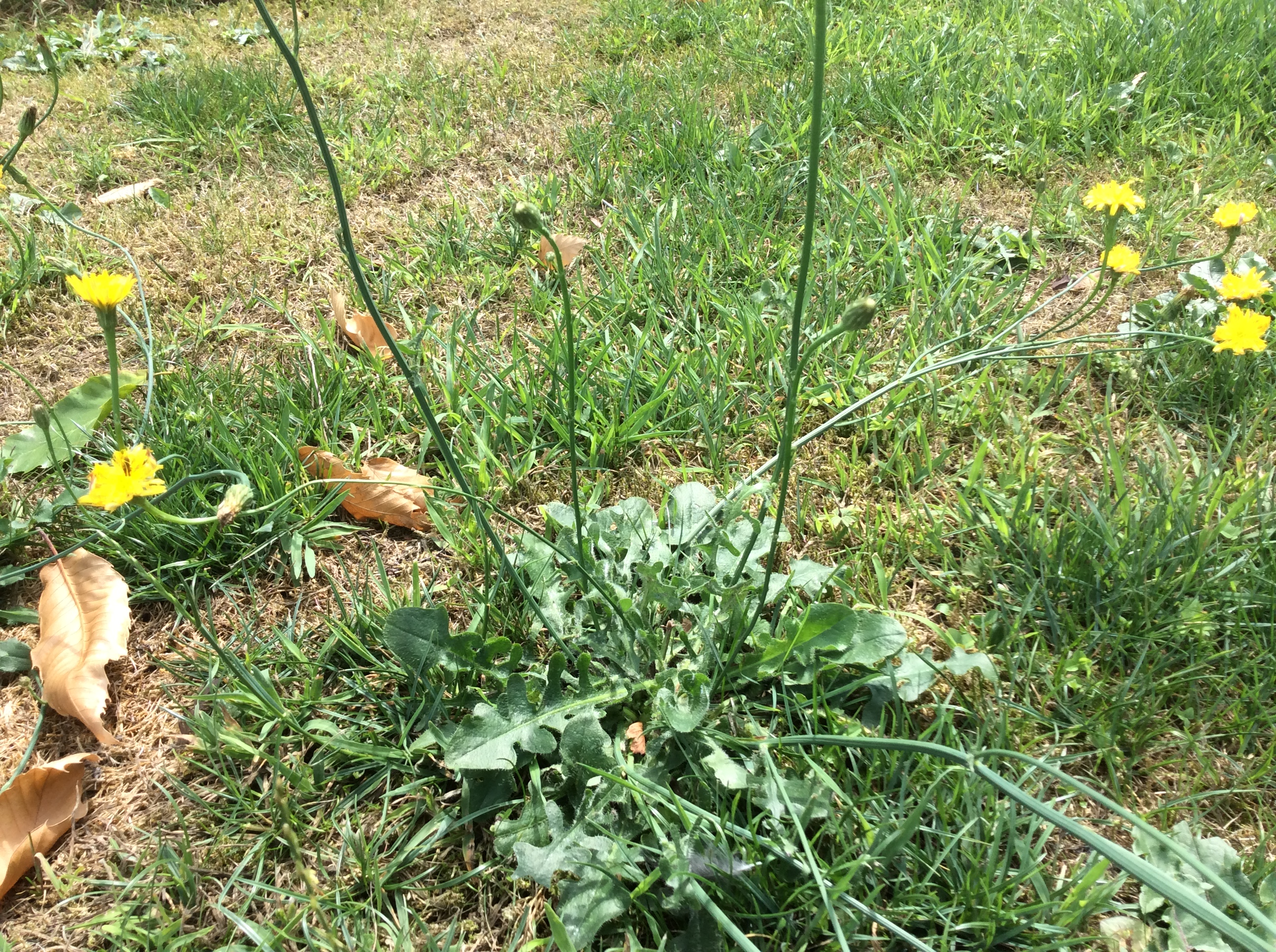 285192CF-4510-4905-9E1F-C319FAE15F64