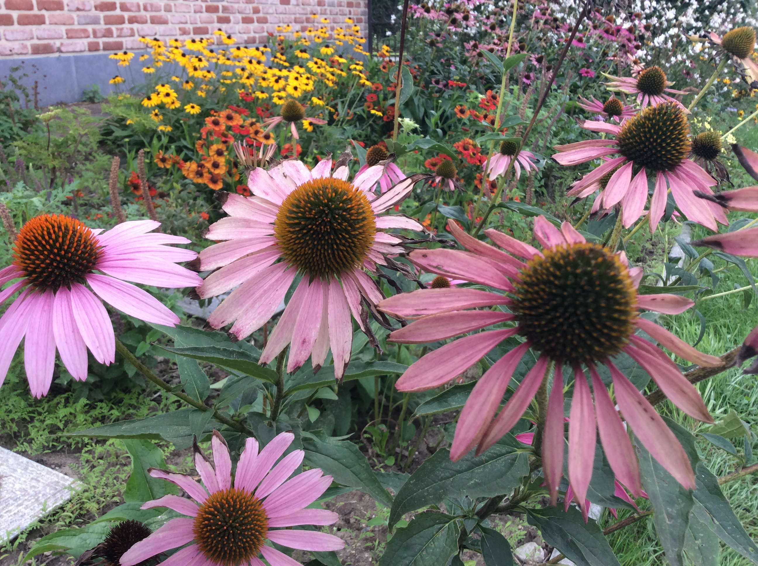 31A4C231-5C5A-45E2-91CF-9B983AFA6660