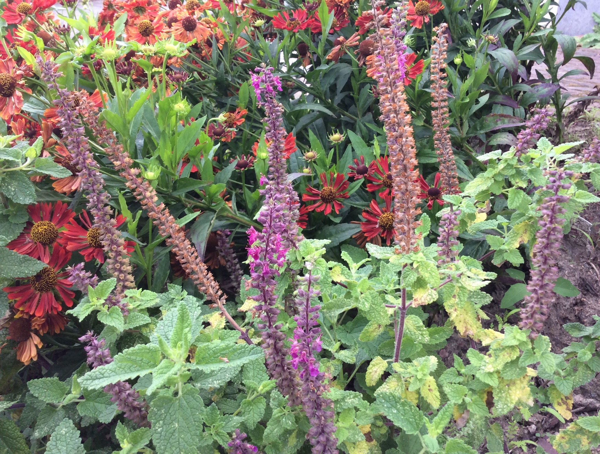 4573AE75-8438-4B03-B6CB-A8B0C3423129