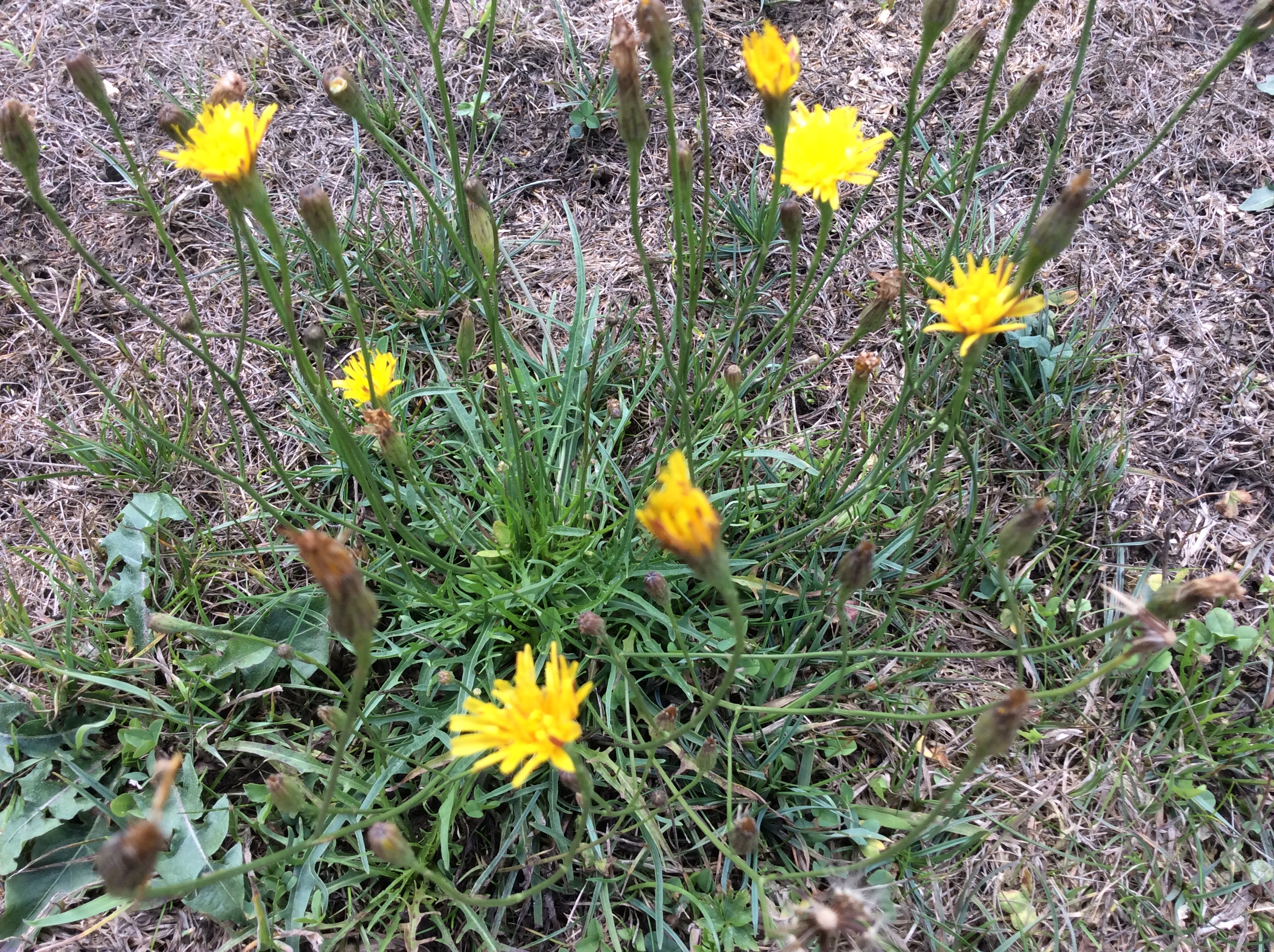 6822C70C-ED62-4425-9D73-89A151343A44