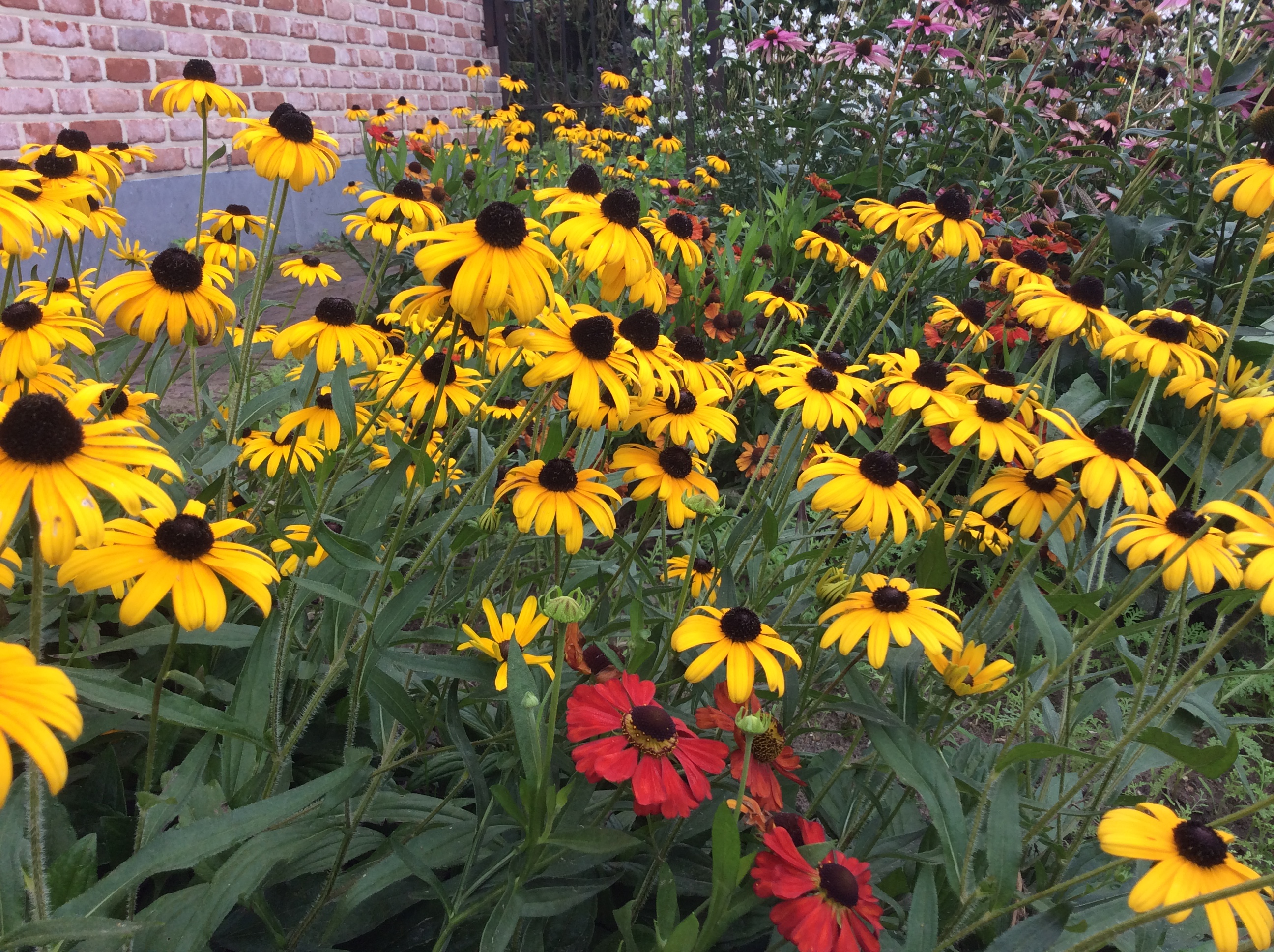 79BF4CE3-9494-4B18-84FF-6D3C099DF1DA