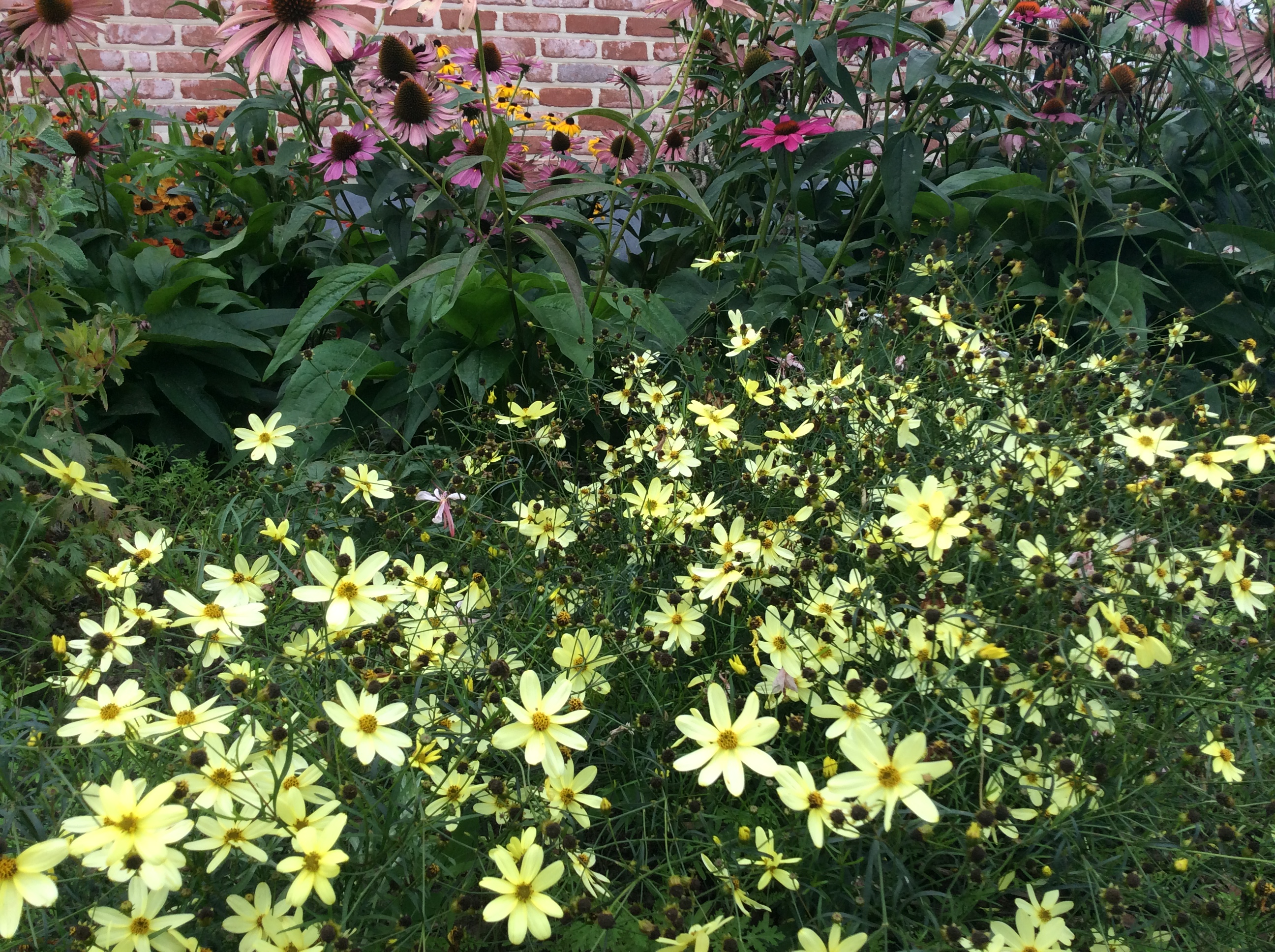 8DDEE990-3E19-4B9A-BF1C-ED5EC16468C4