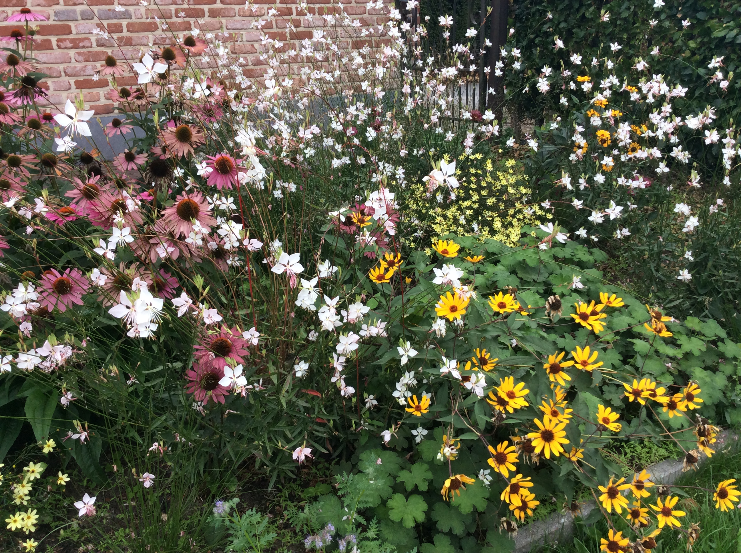 9F71946E-F673-4515-BFDE-1685C5DC47FE