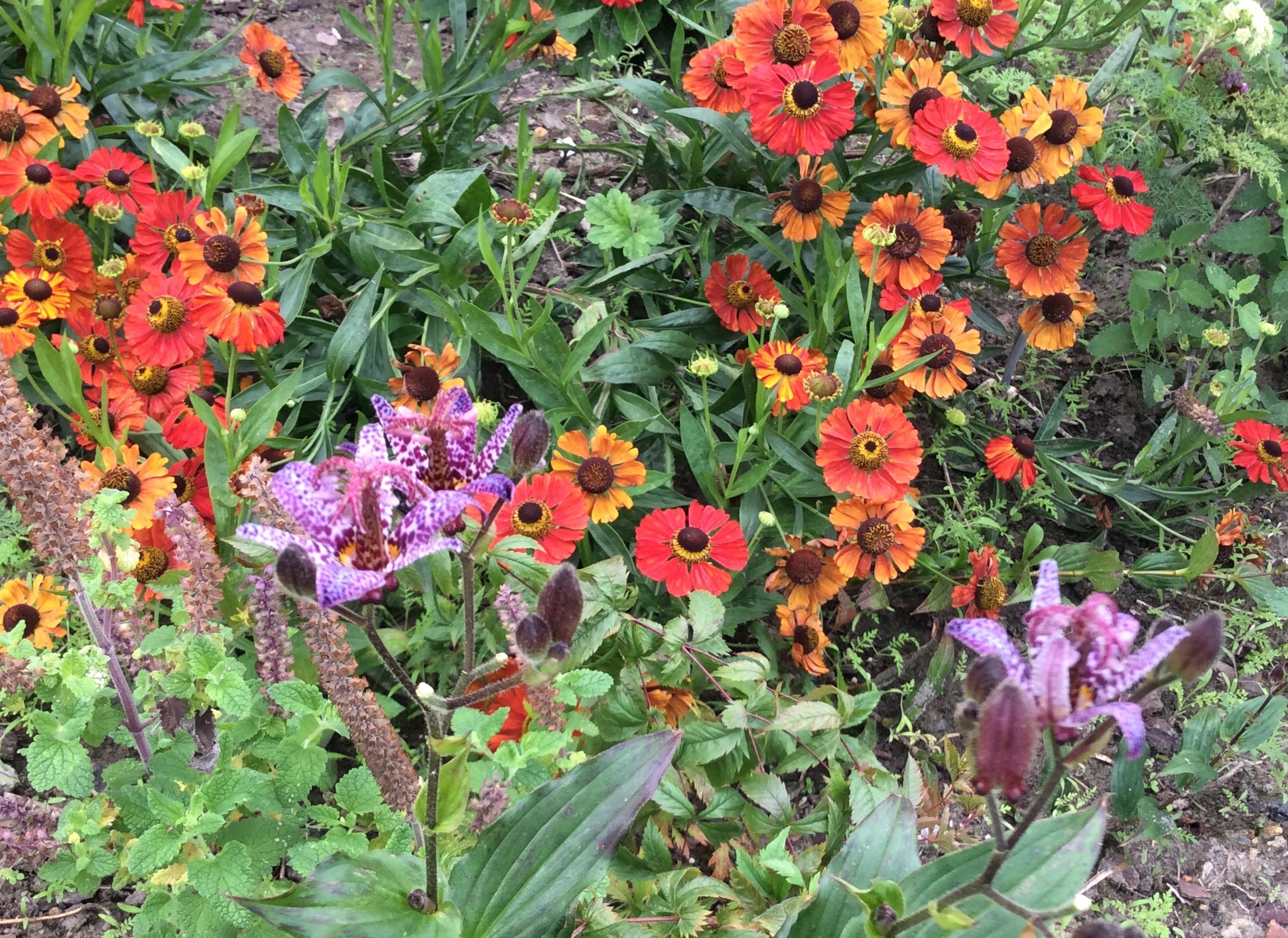 A335473D-CA35-496F-B55F-BE01F398C1D8