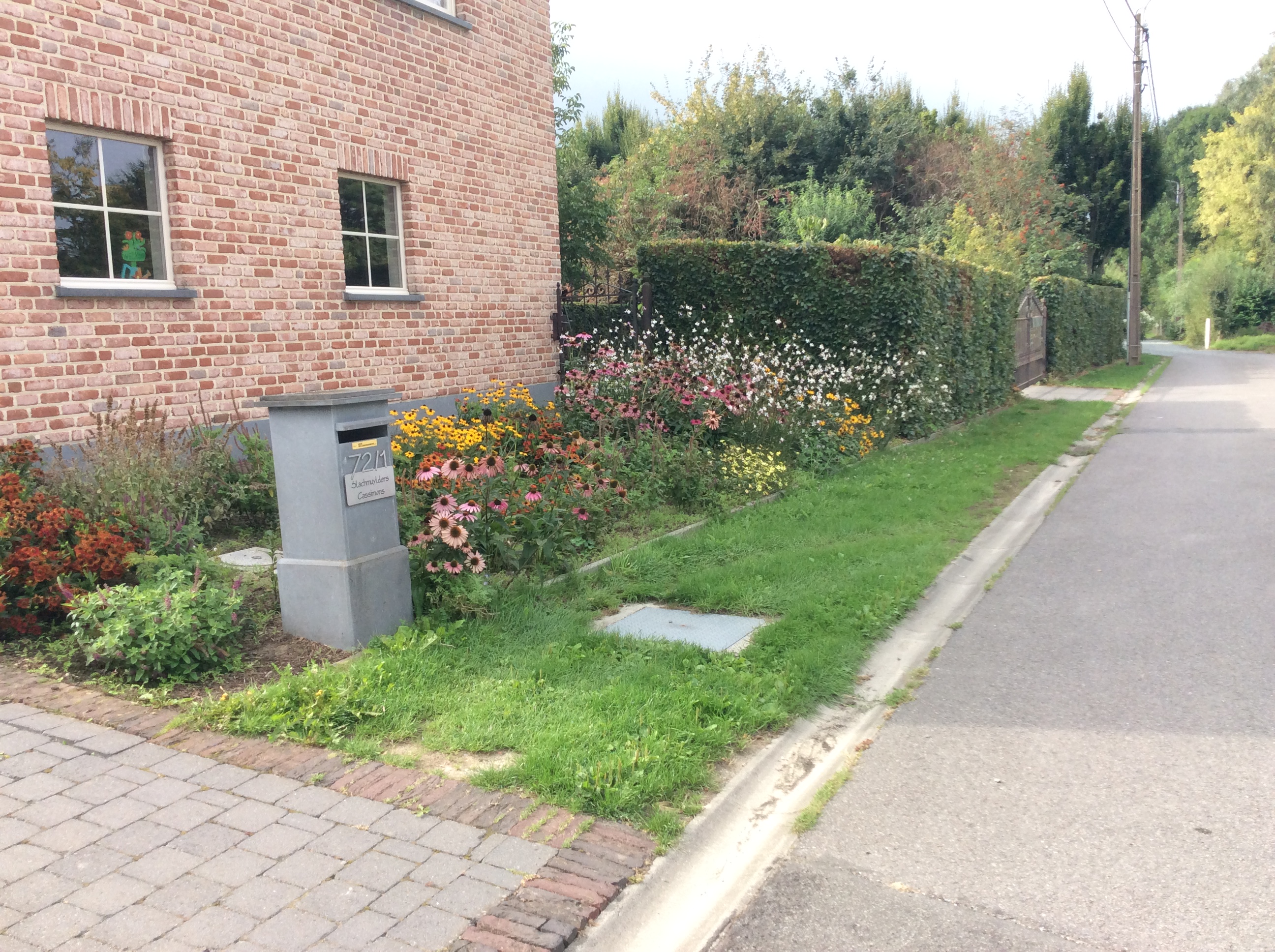 E159F622-B0E9-4F0E-B811-1A58D75FFF04