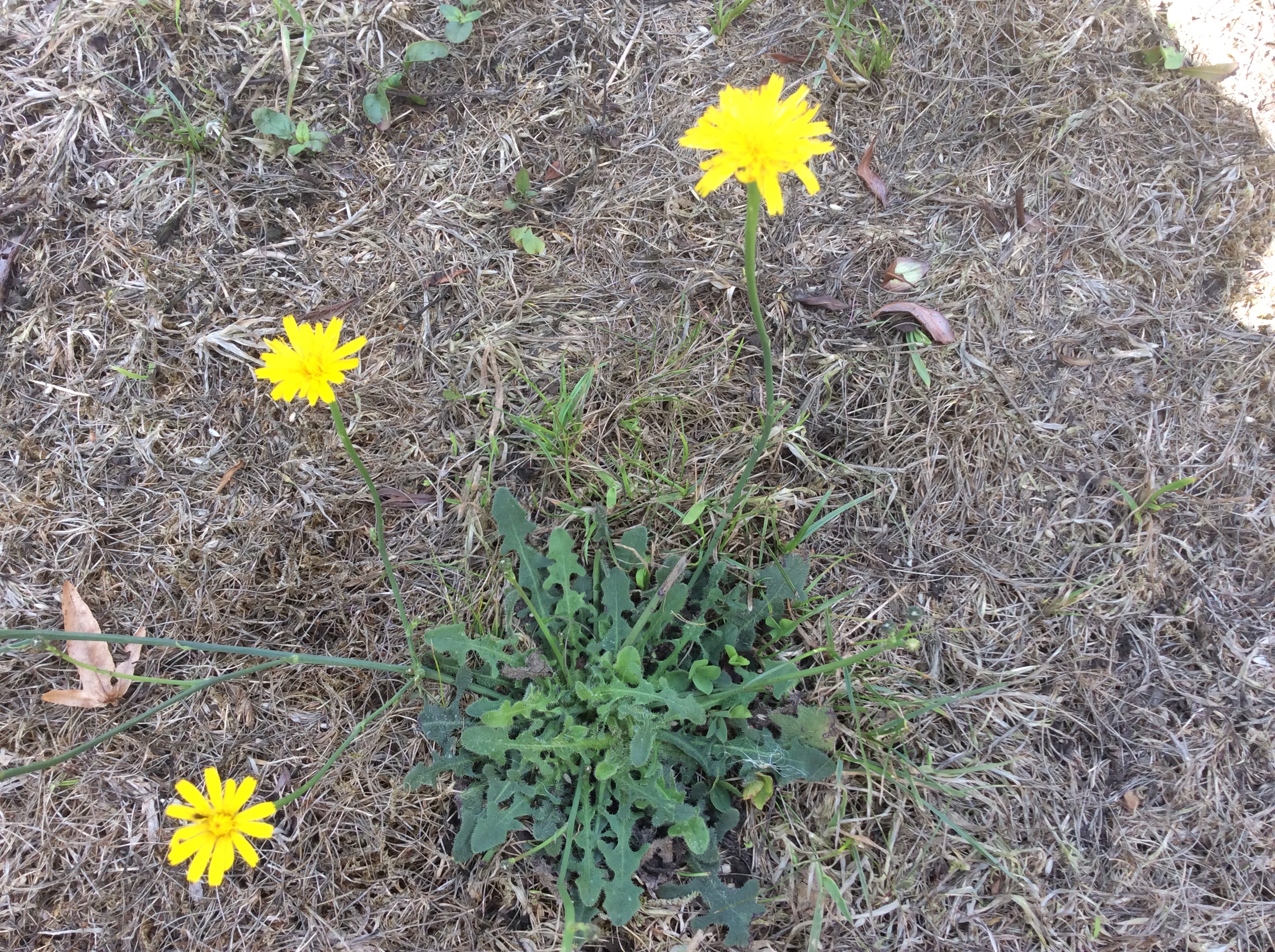 E23EBB9B-0E66-4453-AD53-F66D0CB13C99