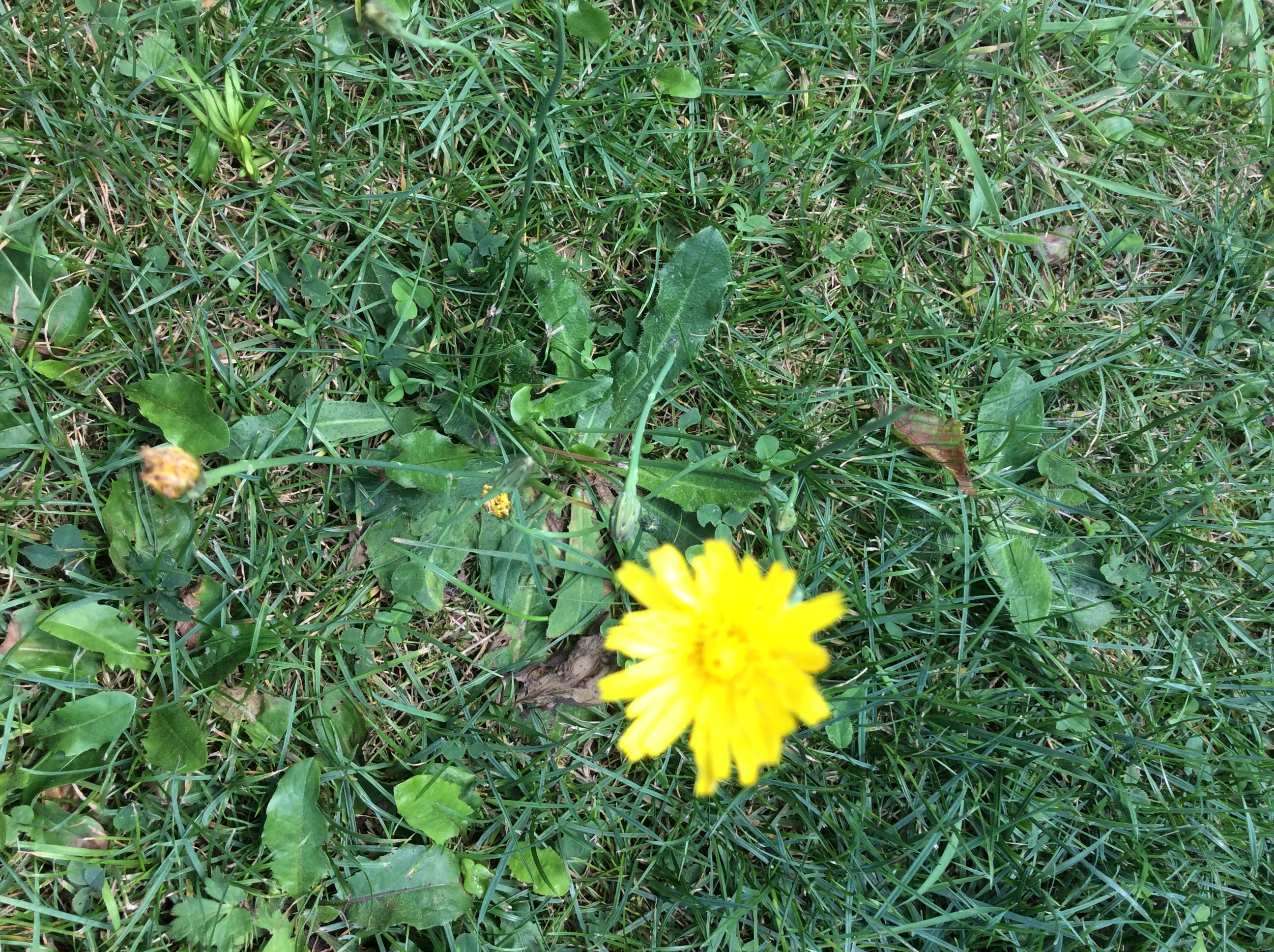 F59EFE60-3D6C-4840-B6CA-B747C0A5108E