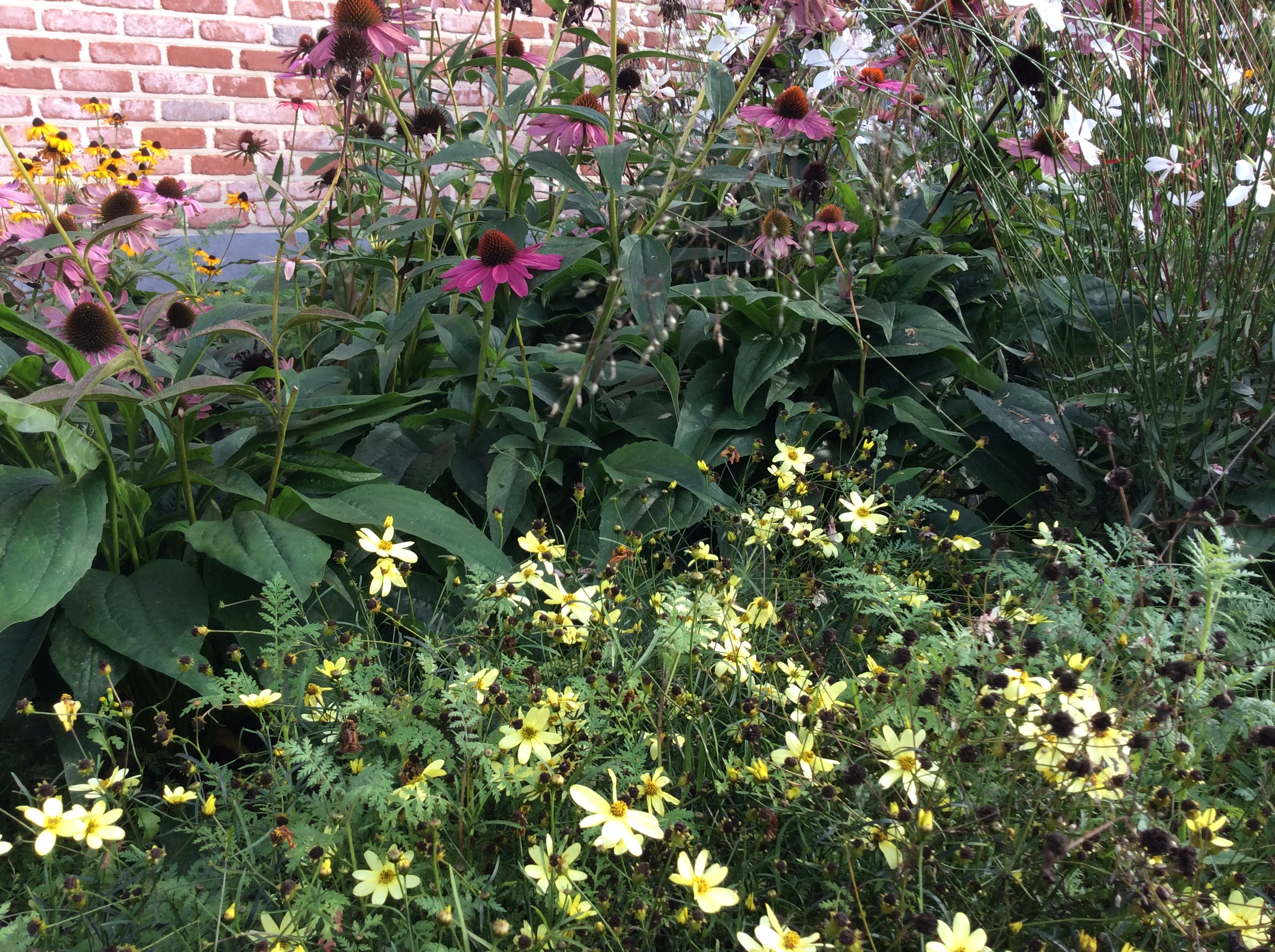 03F6933A-50D1-457B-A06B-A024929B3F85