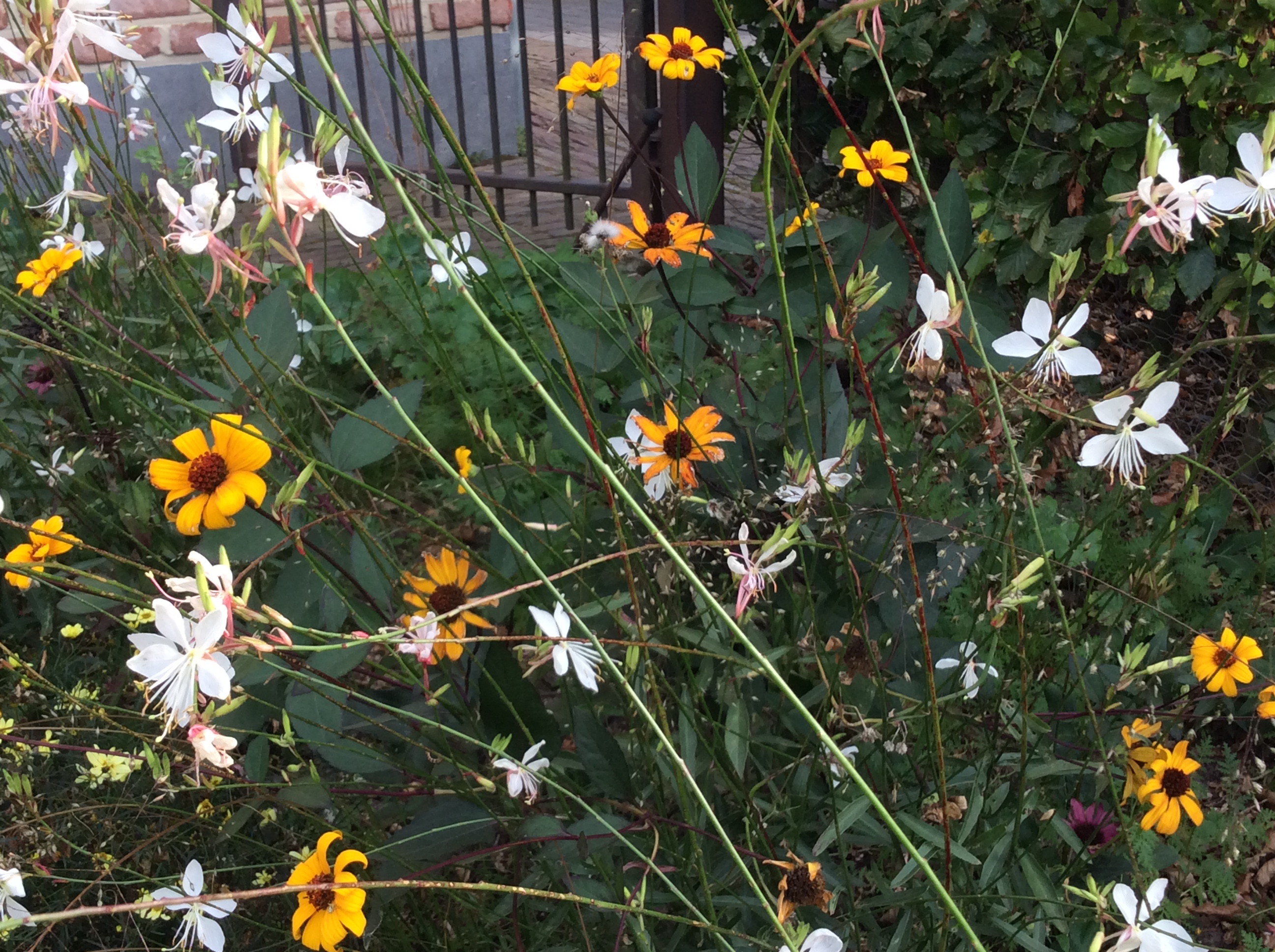 335B0635-D30E-4B75-9ABB-95B05F58C9B0