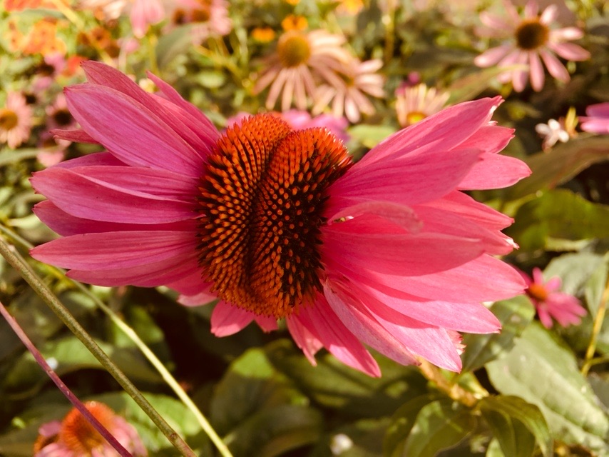 75FAECC4-5D59-400F-B561-54CA672AB9B2