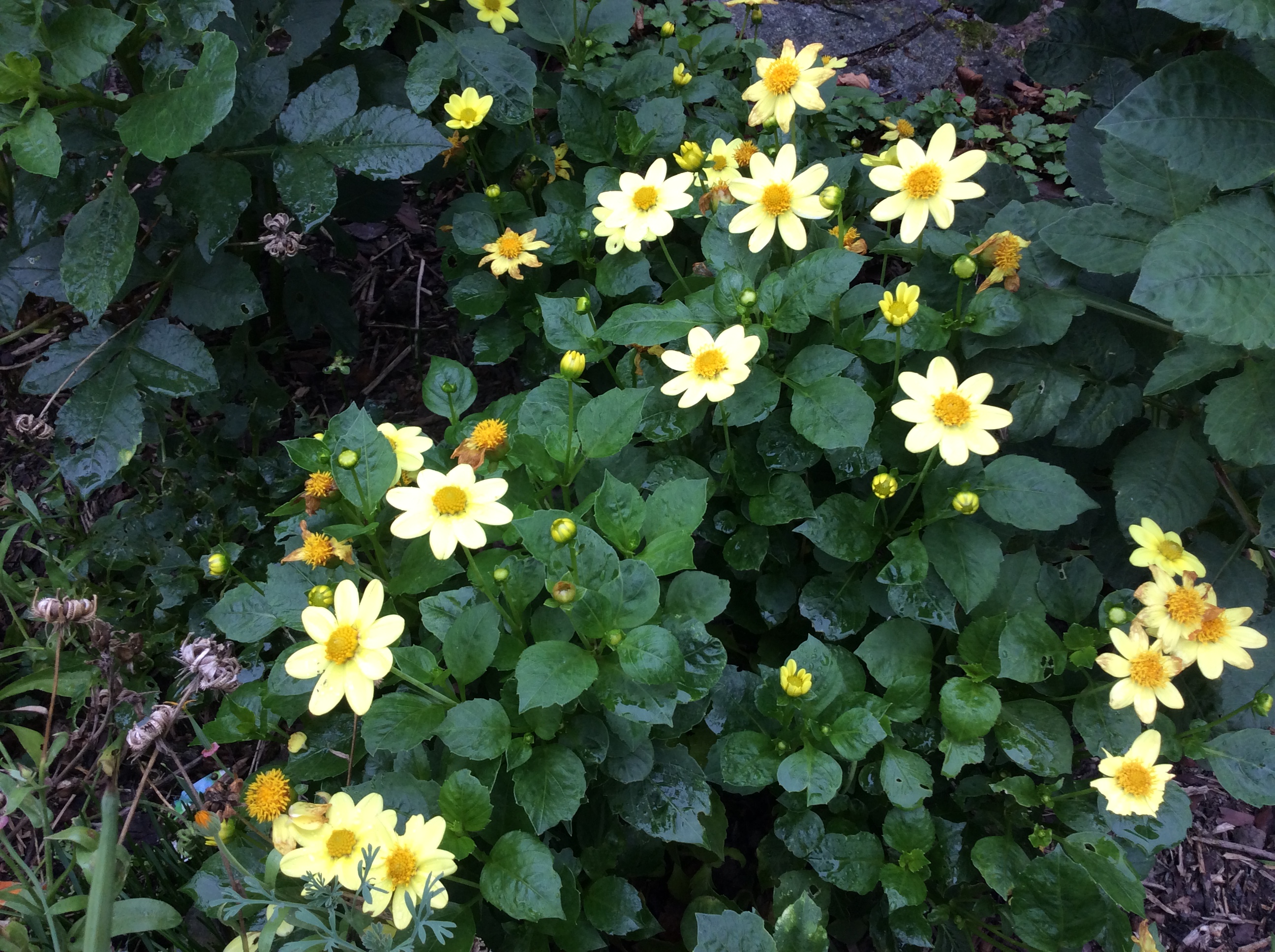 75FF314E-4E32-4F93-90C5-1188BBCE96AF