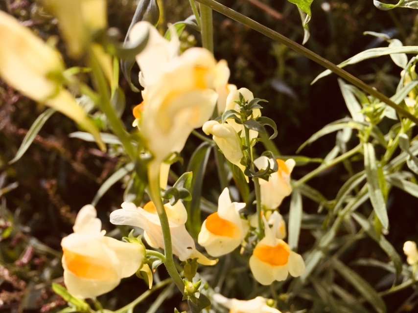 96B14D0F-082E-4CBB-B0DB-9A9DFA2CD365