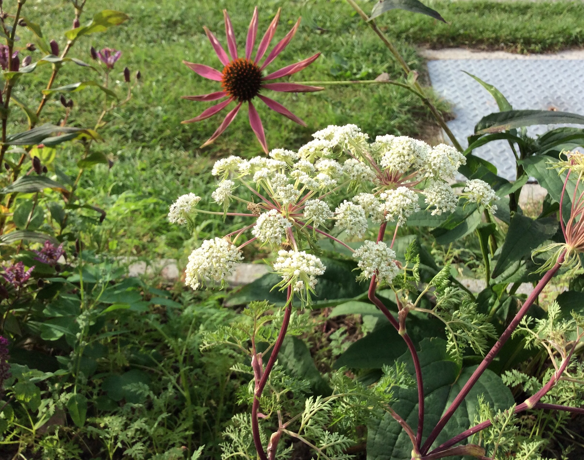 9B64B21B-DA94-4D18-8259-239FE0754E7F