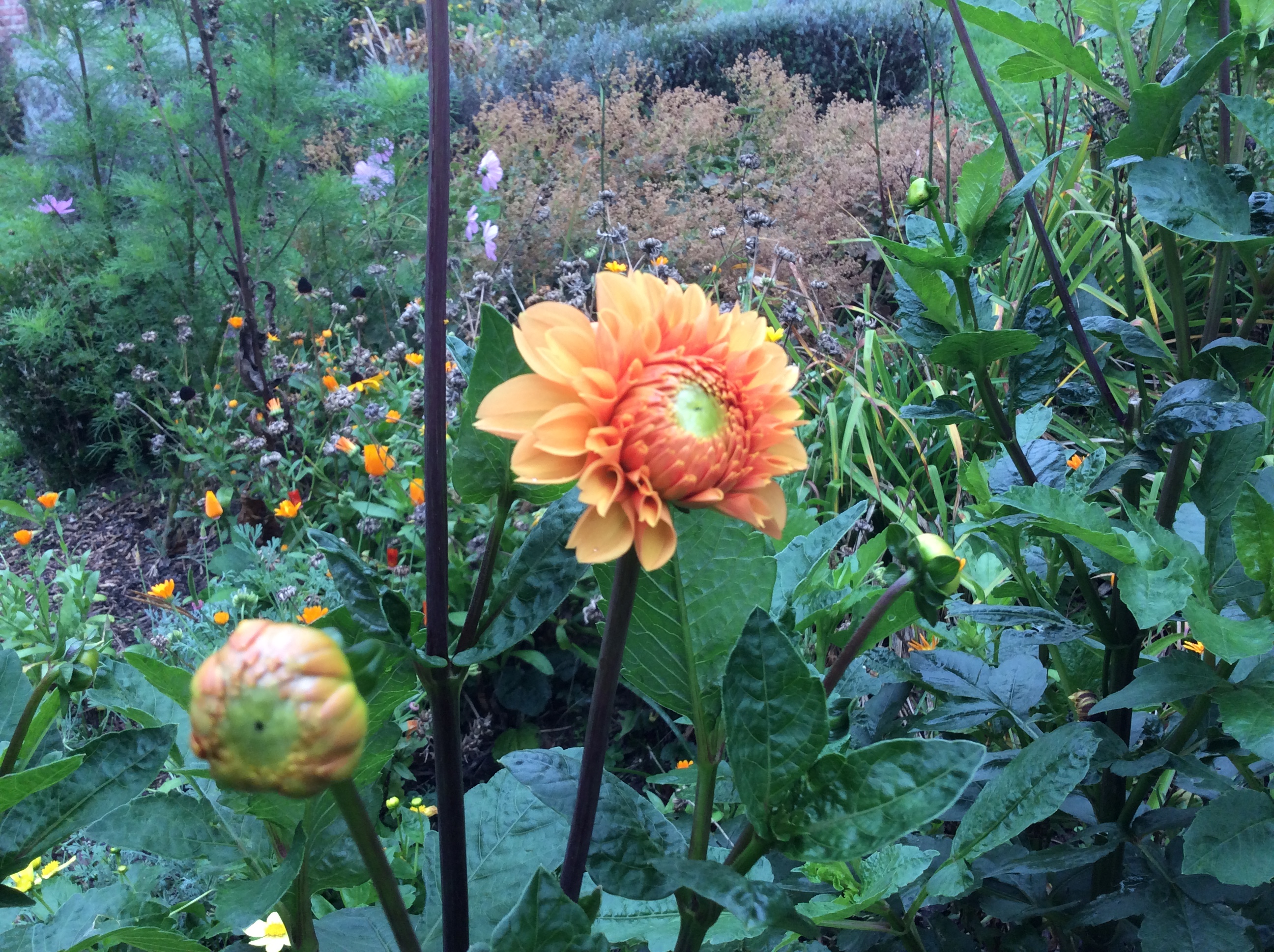 9F52712C-D4EB-4078-BE93-90A5292060FD