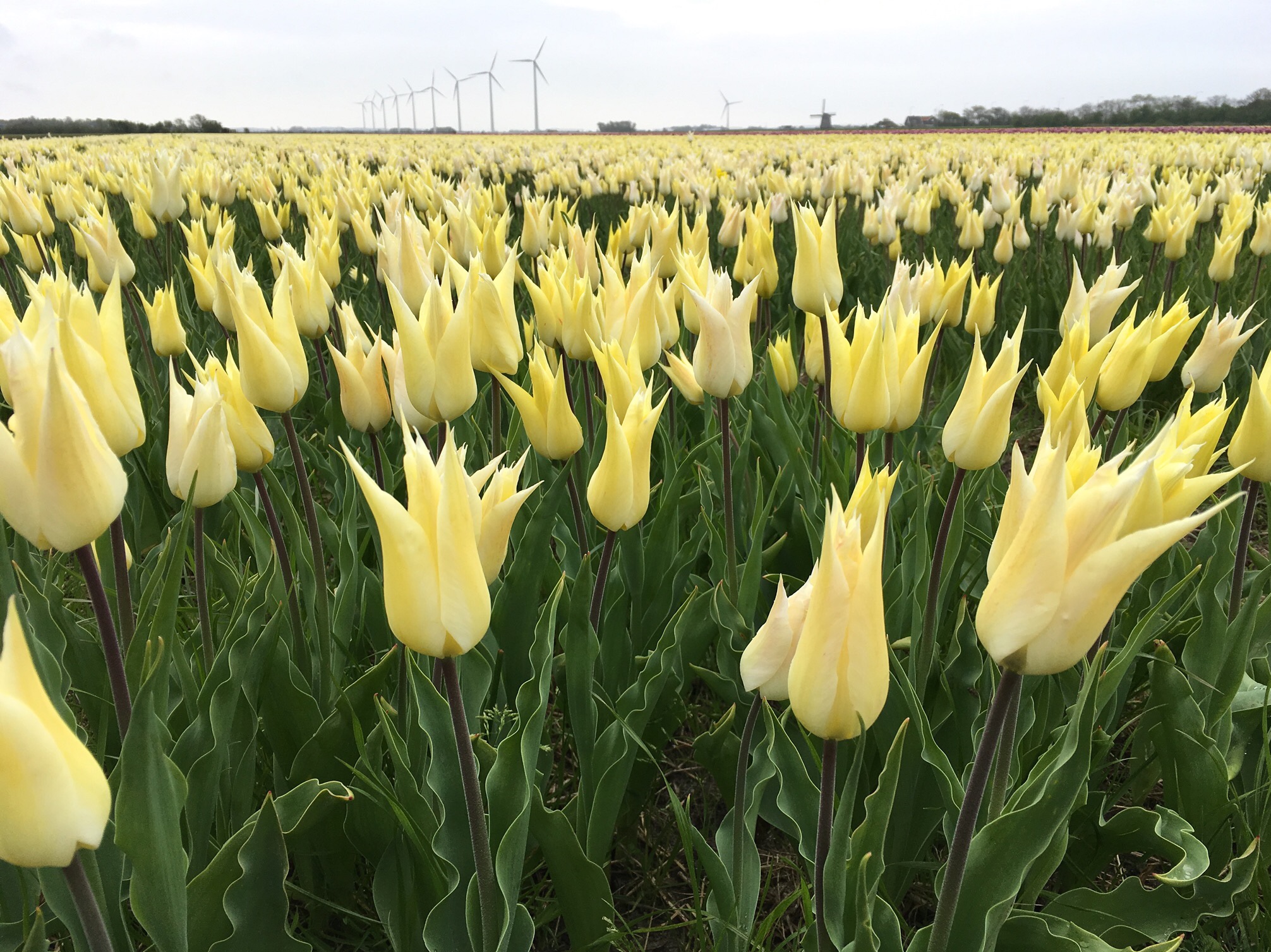 A3BAFCFF-3C42-4DEC-B0B2-C82A63E94B9E