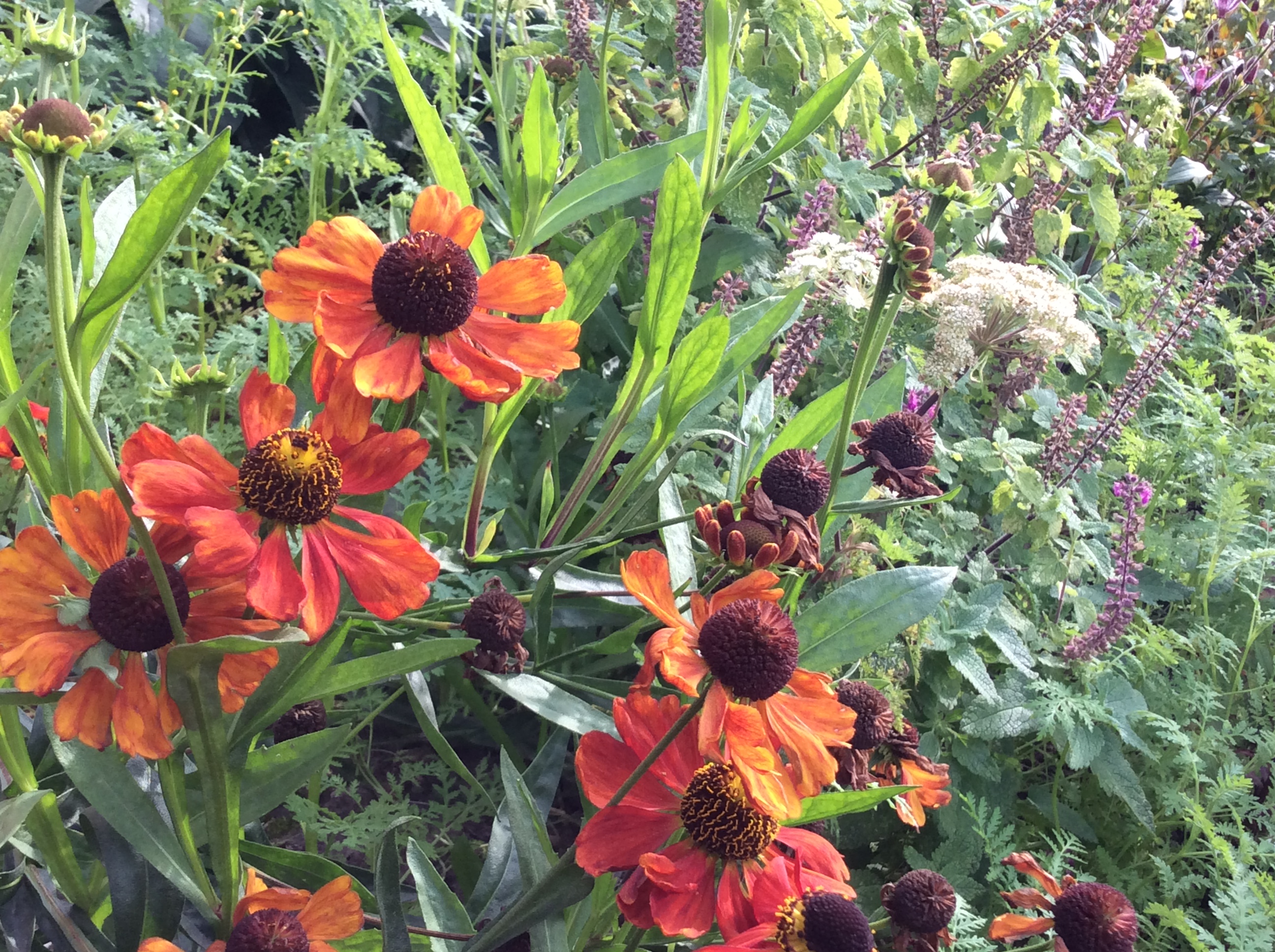 C76DB451-1AFC-47E3-AAA2-A5BD7F5FD80C