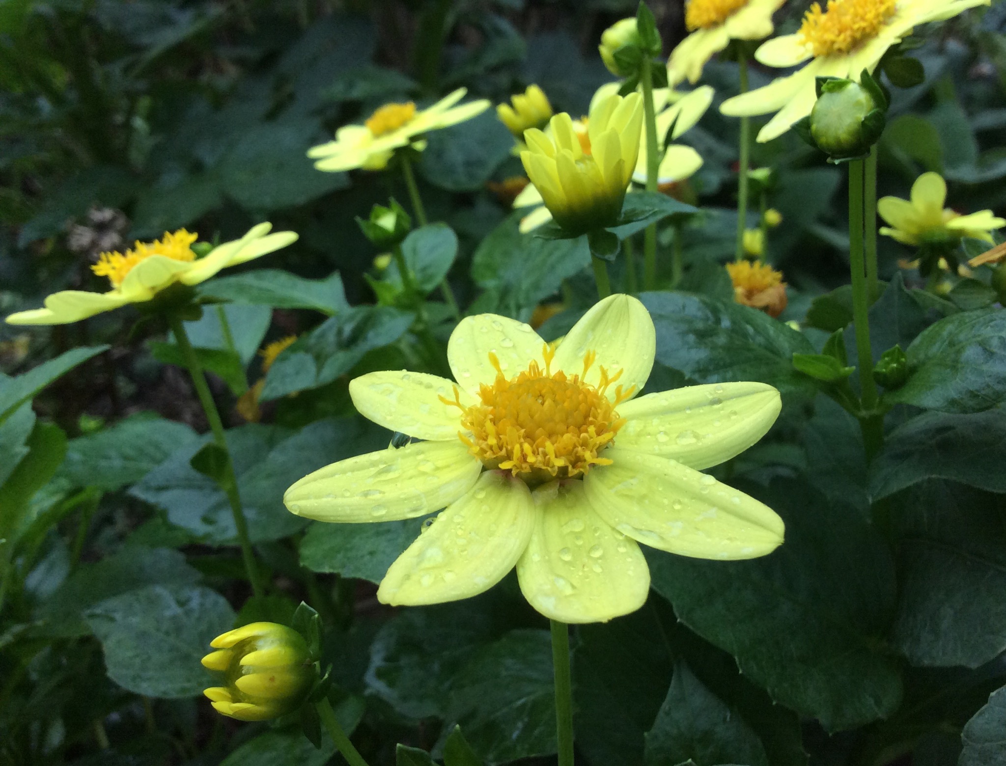 CE5CF856-7D8F-4F13-9CAC-A01B9C3497CC