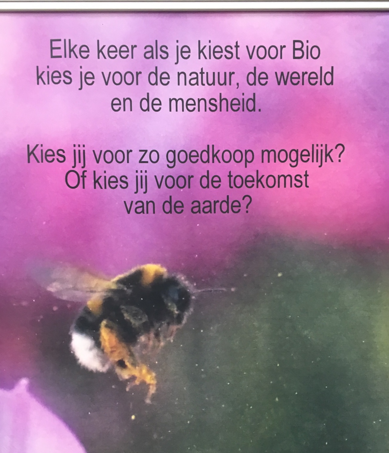 CE942F95-CA73-4A27-9FE7-6D16DADCF4C8