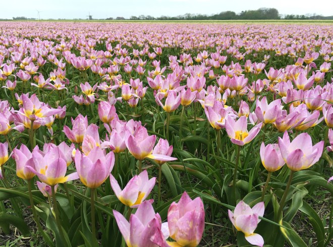 EDCF5566-9211-485A-B05D-8CDF0BBDC066