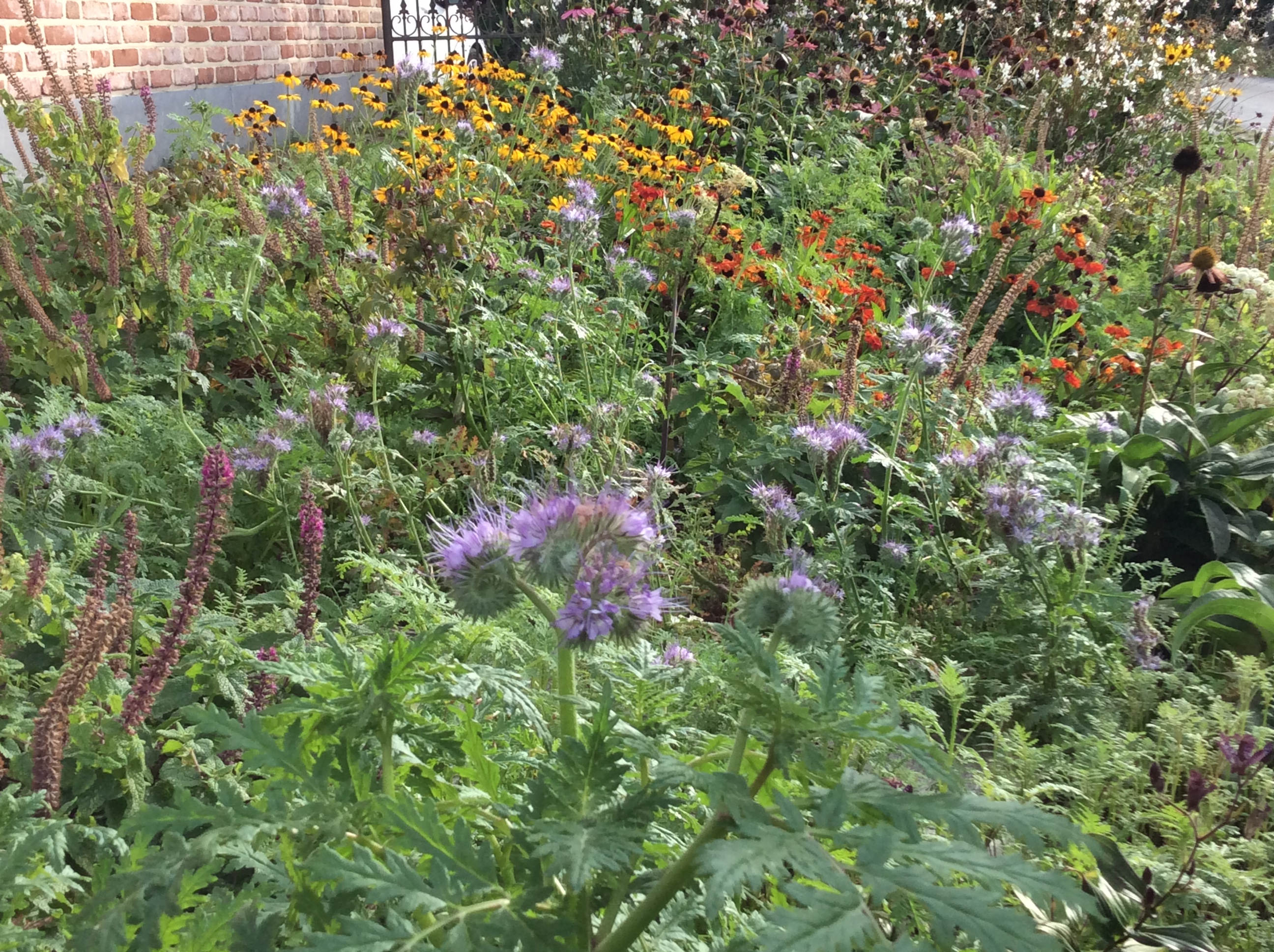 EFFB511C-B1B9-4F4D-9A54-3EC3F4A3587D