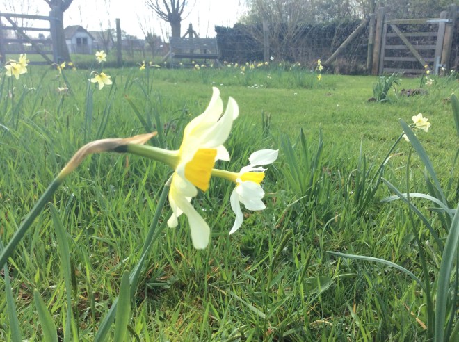 F4015422-8E47-4878-BD58-193B658344BF