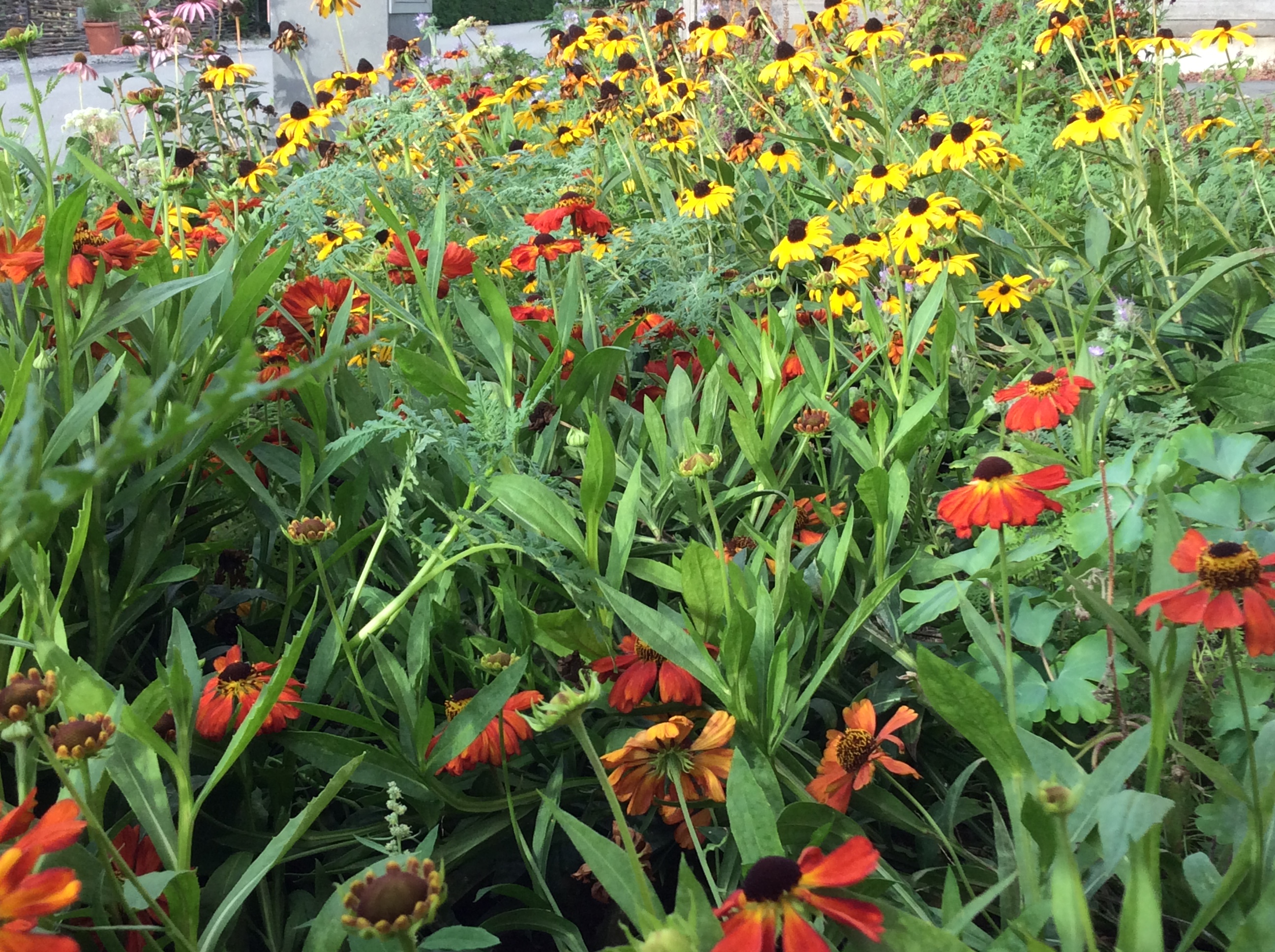 F43CEFBC-BF5C-4C31-9517-27E8CB608154