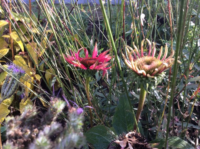 1FA8E7C4-F973-4037-BFD0-1122442914F8