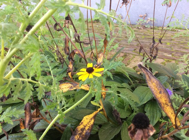 4A3D8046-0B1E-4C77-8B42-8E75F04C0478