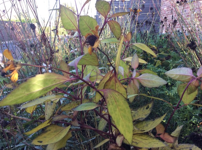 F24E0E9D-071C-41F6-80C7-107A7B636836