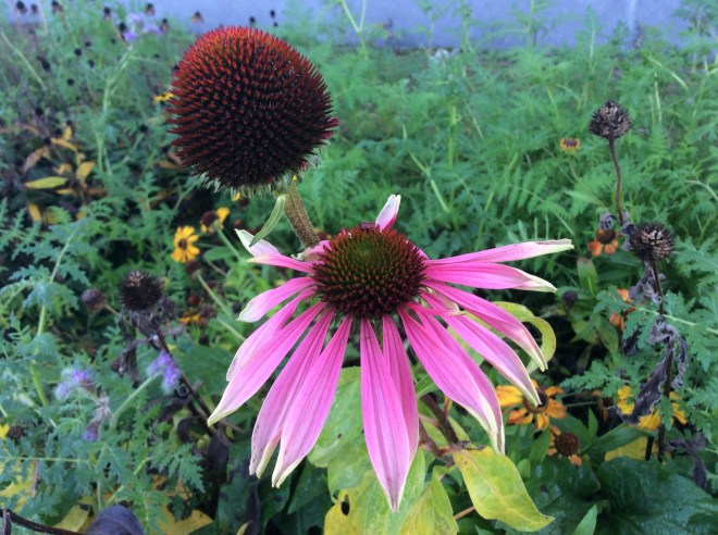 F8292A8F-76C1-47E0-A369-899CA4A1E4CC