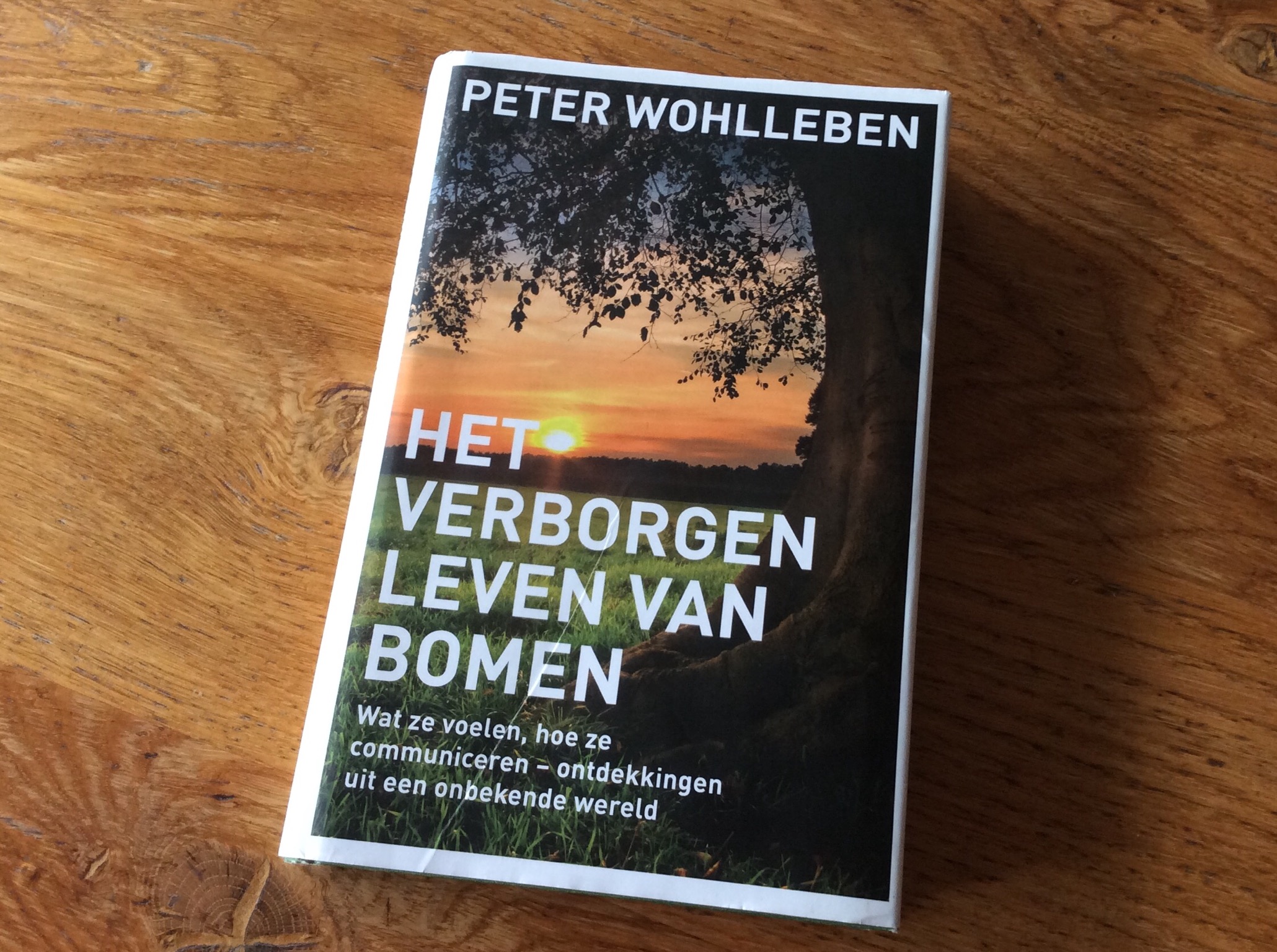 FE19C780-1C68-450D-8B6A-E28F47BC6F8A