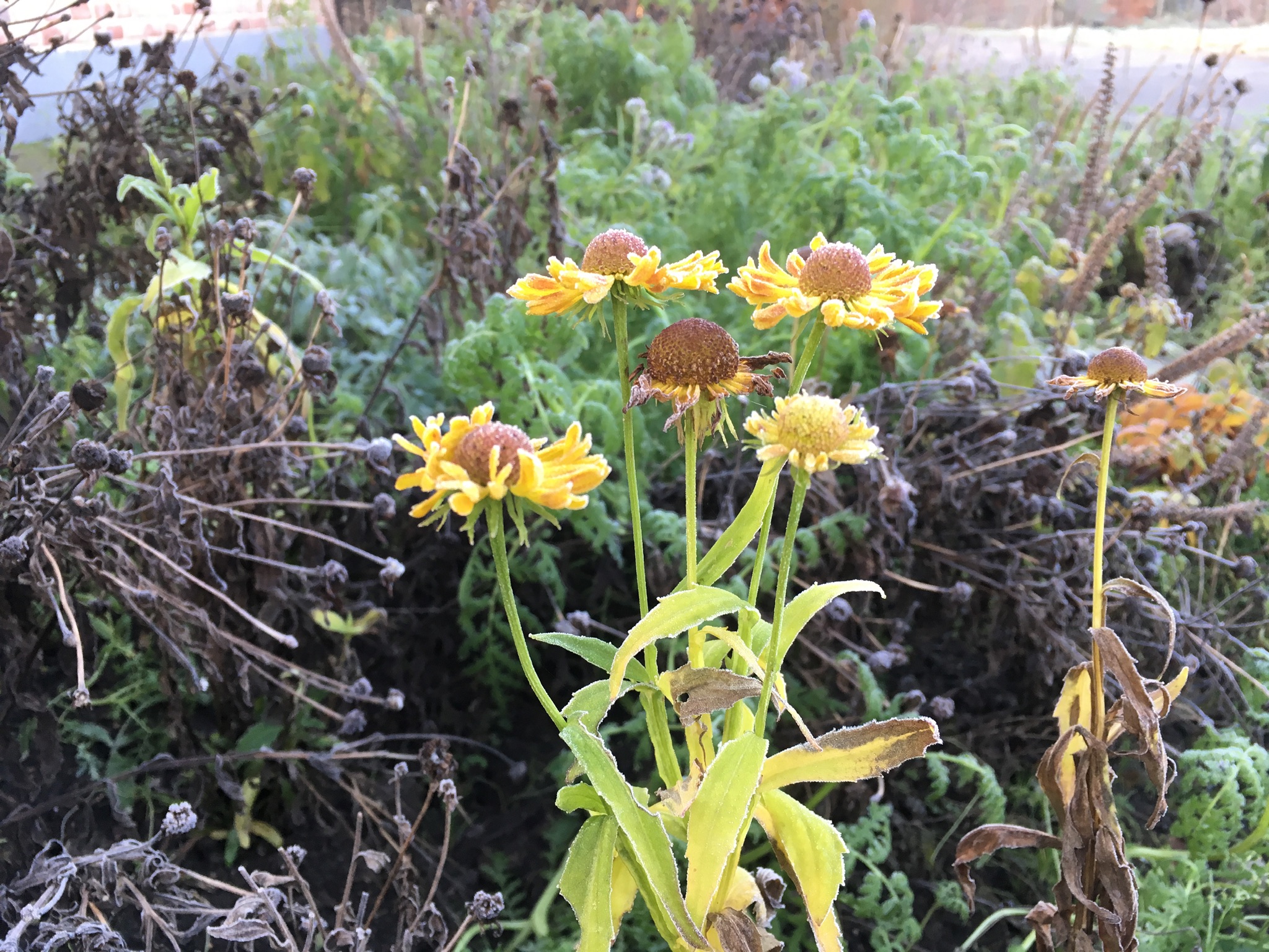 60F8822F-1BF9-40B3-8474-24E65125CDE4