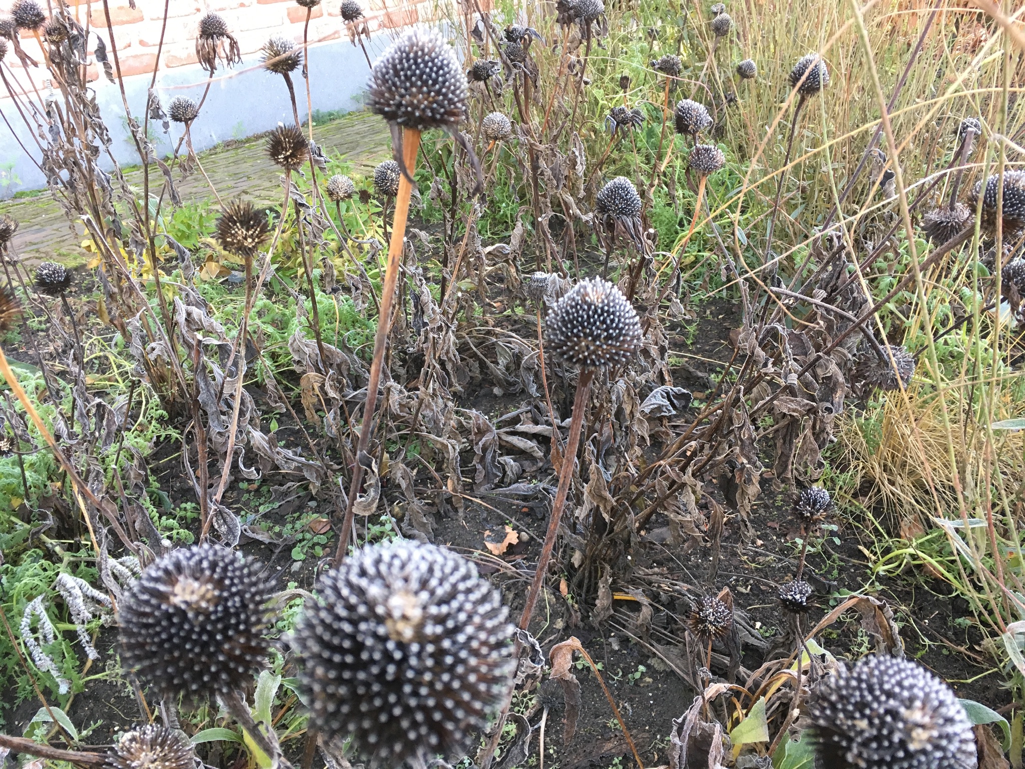 7C381373-D672-4831-91E9-EF079DF28EC5