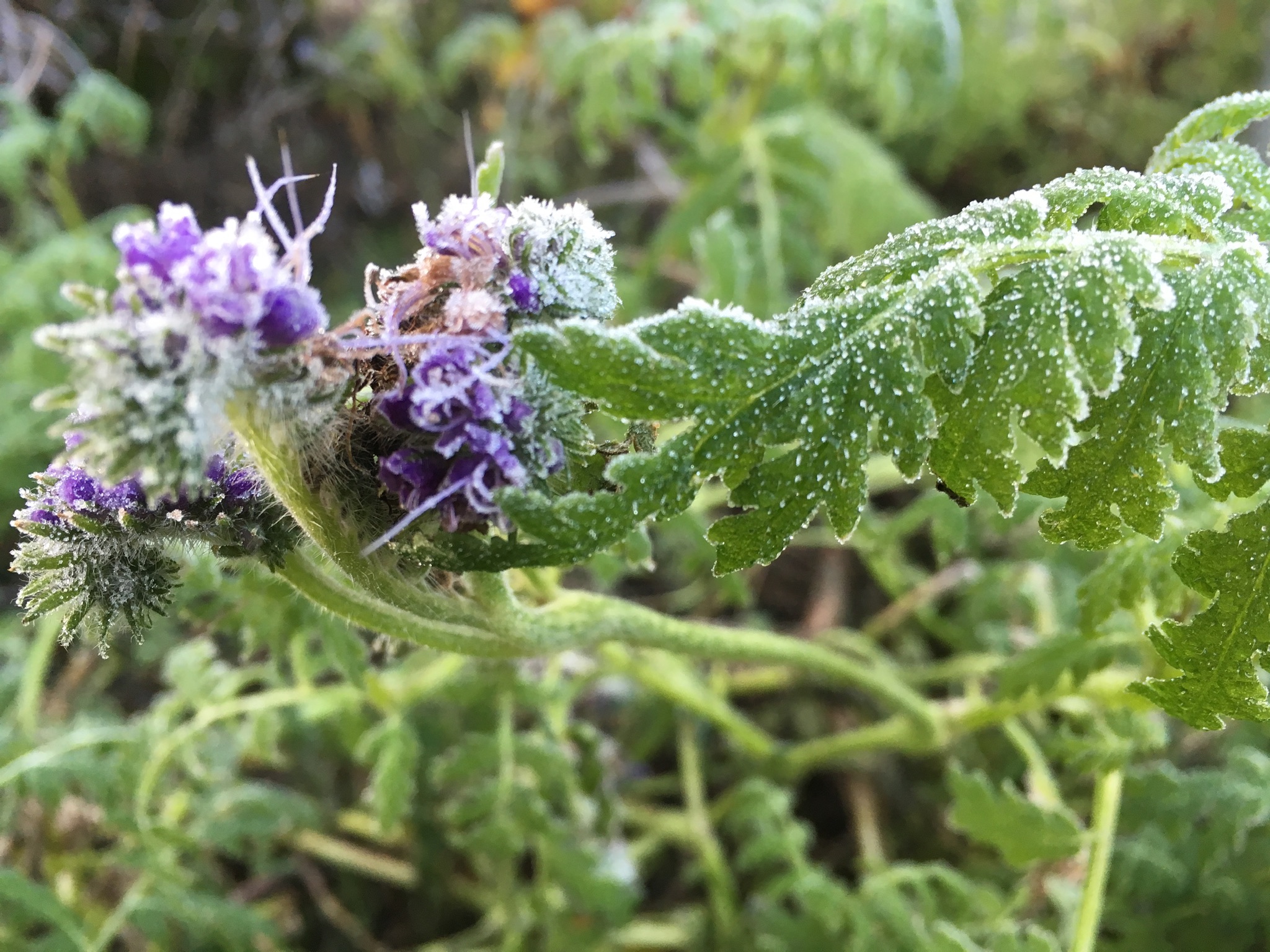 7FD12436-4D9B-48C0-92D1-471635EB01C5