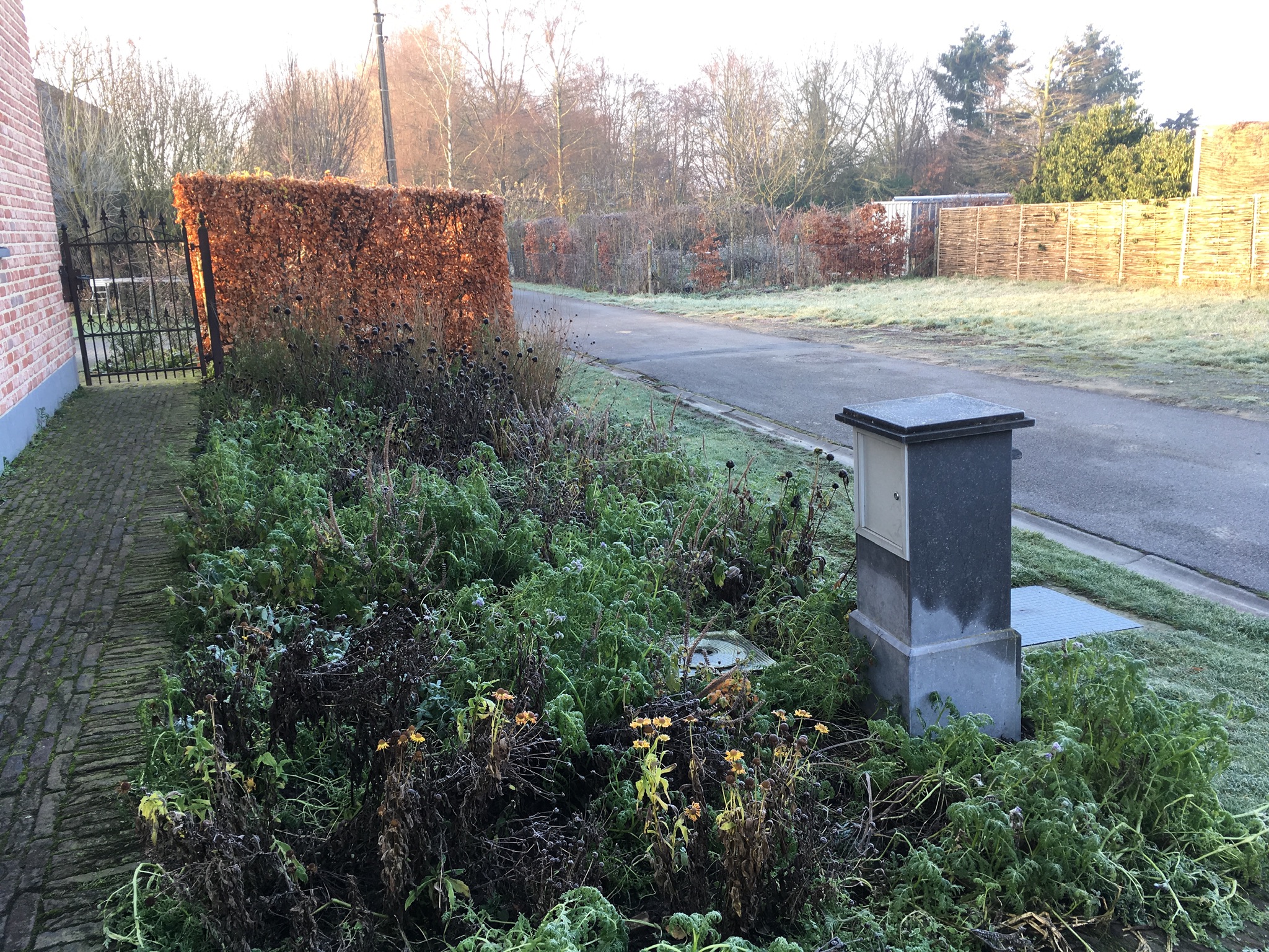 ADEE3954-B296-4549-B3BC-C9D44B22E909